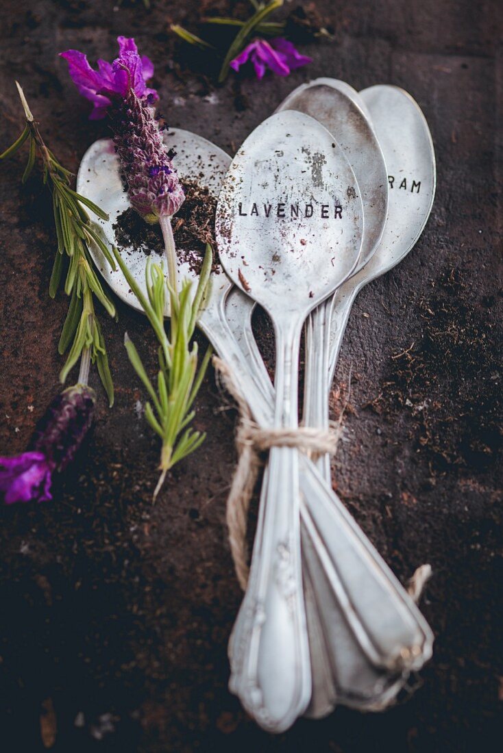 Engraved spoons next to lavender flowers