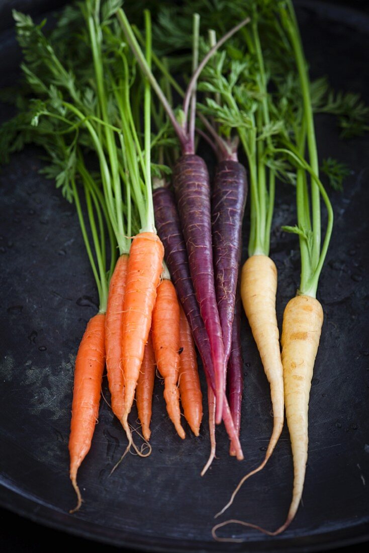 Assorted colourful mini carrots