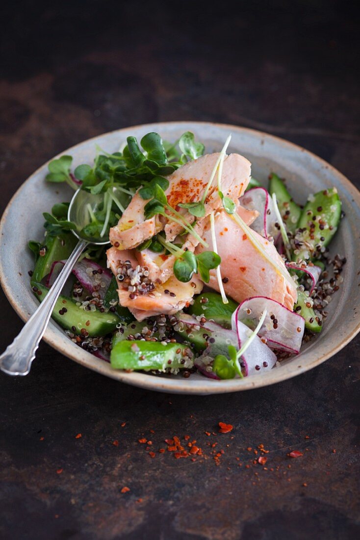 Salat mit Lachs, Quinoa, Gurke, Radieschen und Kresse