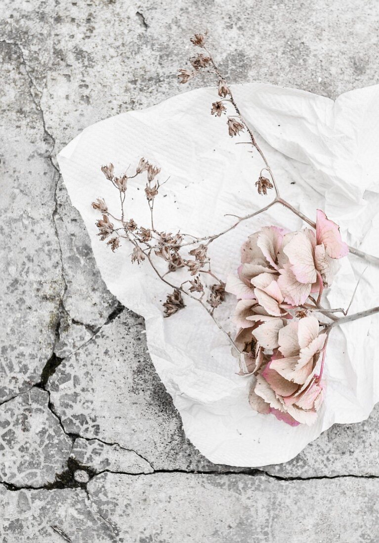 Pale hydrangea flowers on white kitchen roll on stone surface