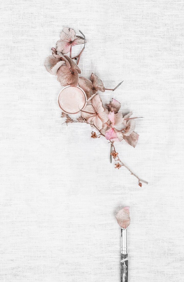 Verblasste Hortensienblüten, Farbtiegel und Pinsel auf weißem Untergrund