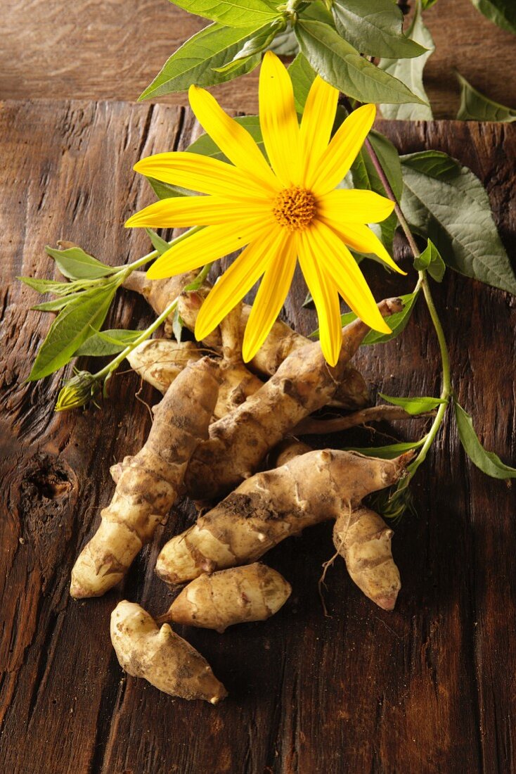 Jerusalem artichokes