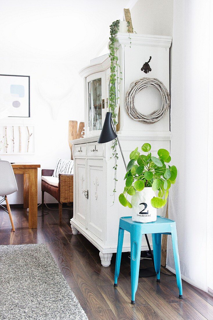 Decorative houseplant in white paper bag on light blue stool next to vintage kitchen dresser
