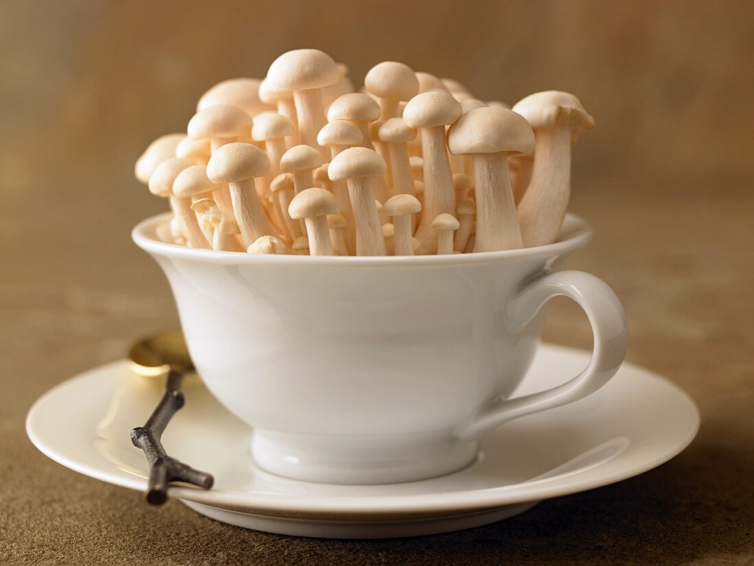 Shimeji mushrooms in a teacup