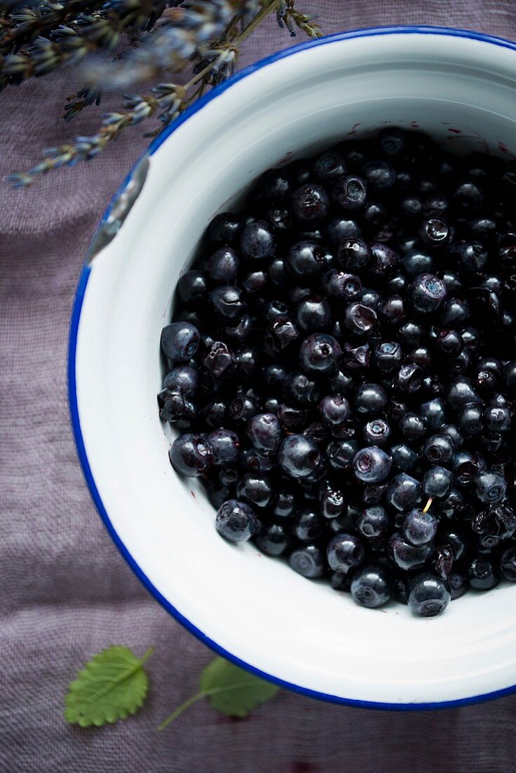 Blueberries in an enamel bowl (seen from above)