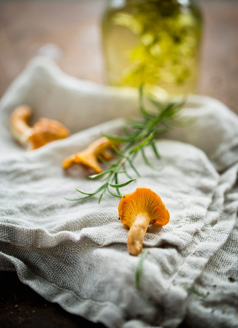 Chanterelle mushrooms, rosemary and olive oil