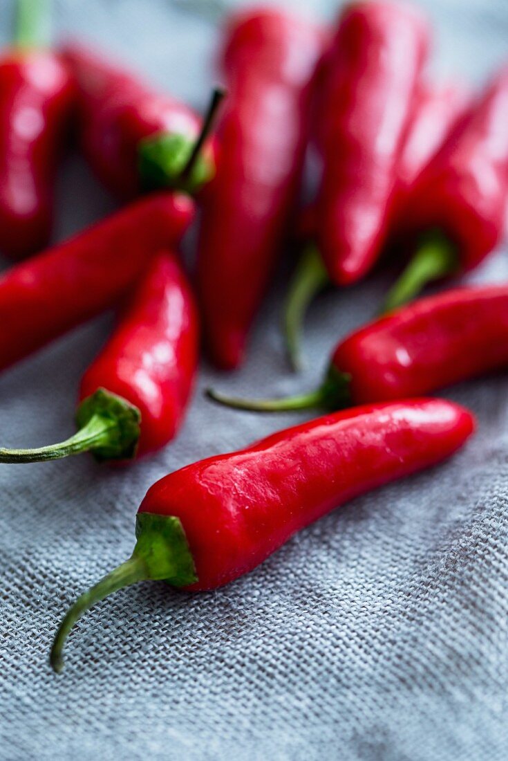 Fresh red chilli peppers on a fabric surface