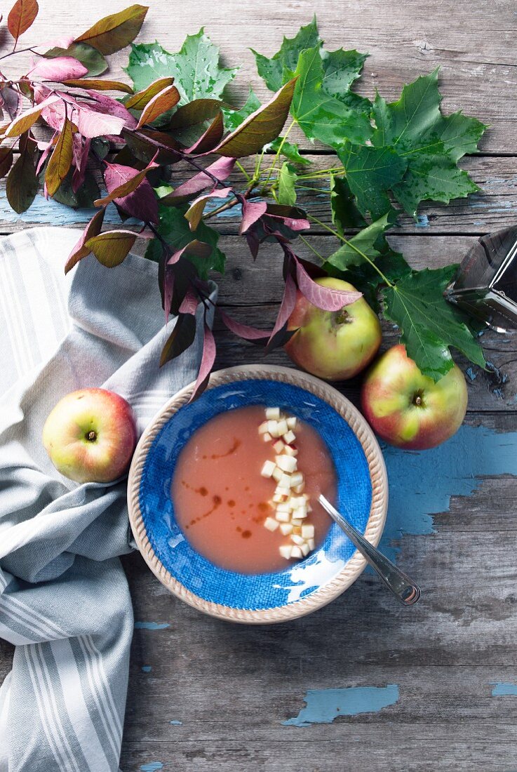Autumnal apple soup with balsamic vinegar (Canada)