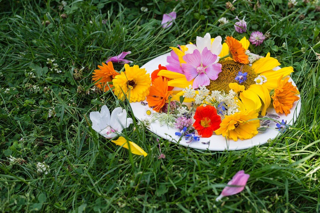 Essbare blüten in einem Teller auf der Wiese