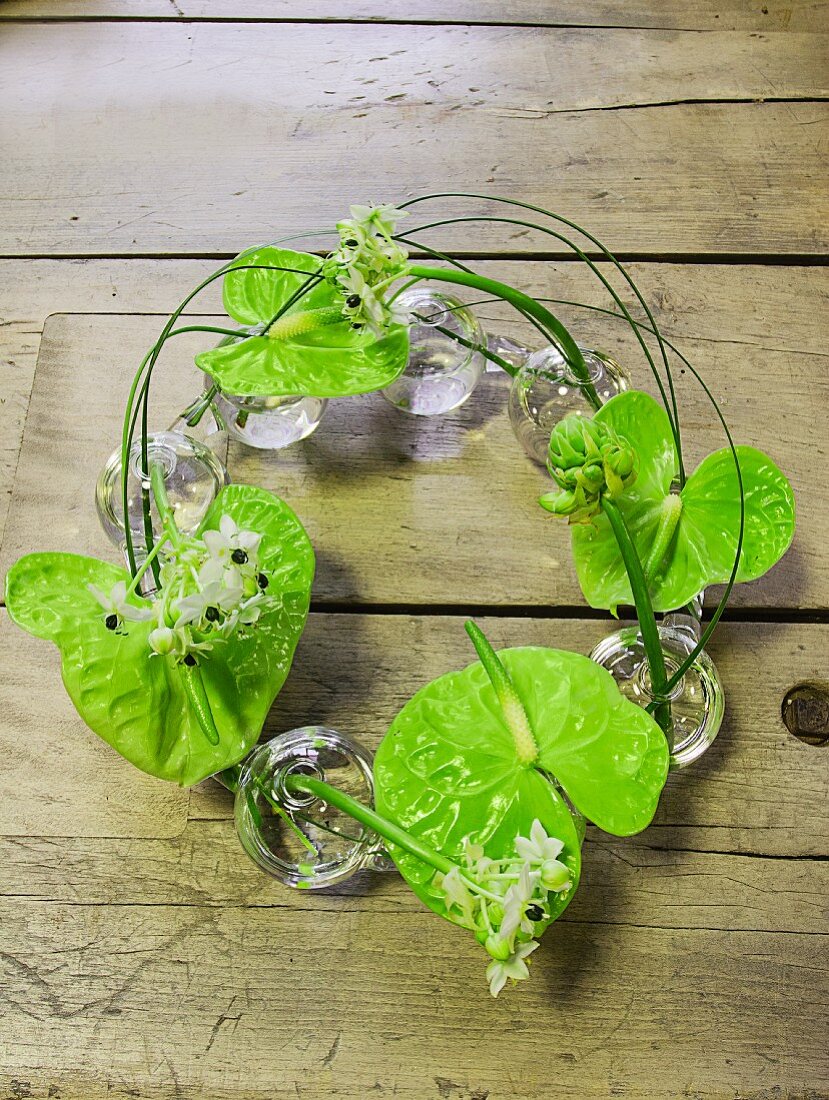 Flamingo flowers in circles of vases