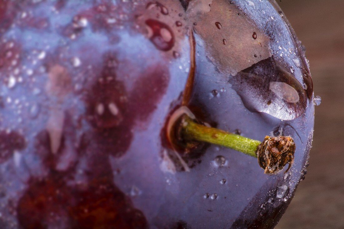 A plum with droplets of water (close-up)