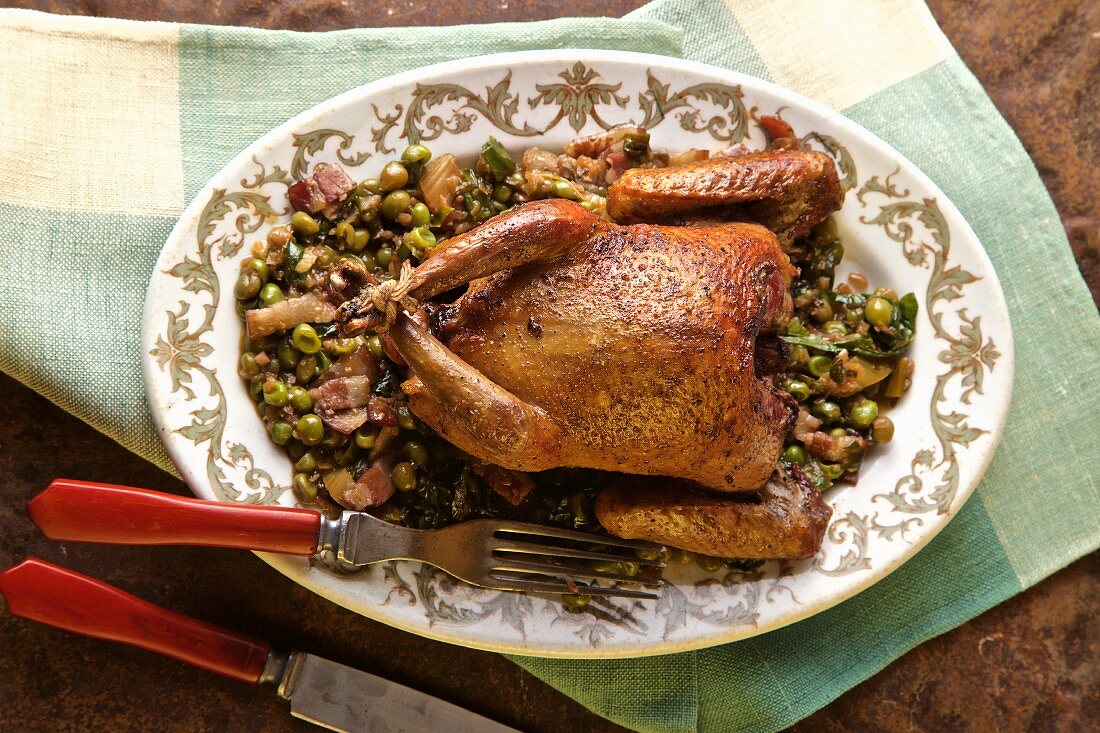 Roast pigeon on a bed of braised peas