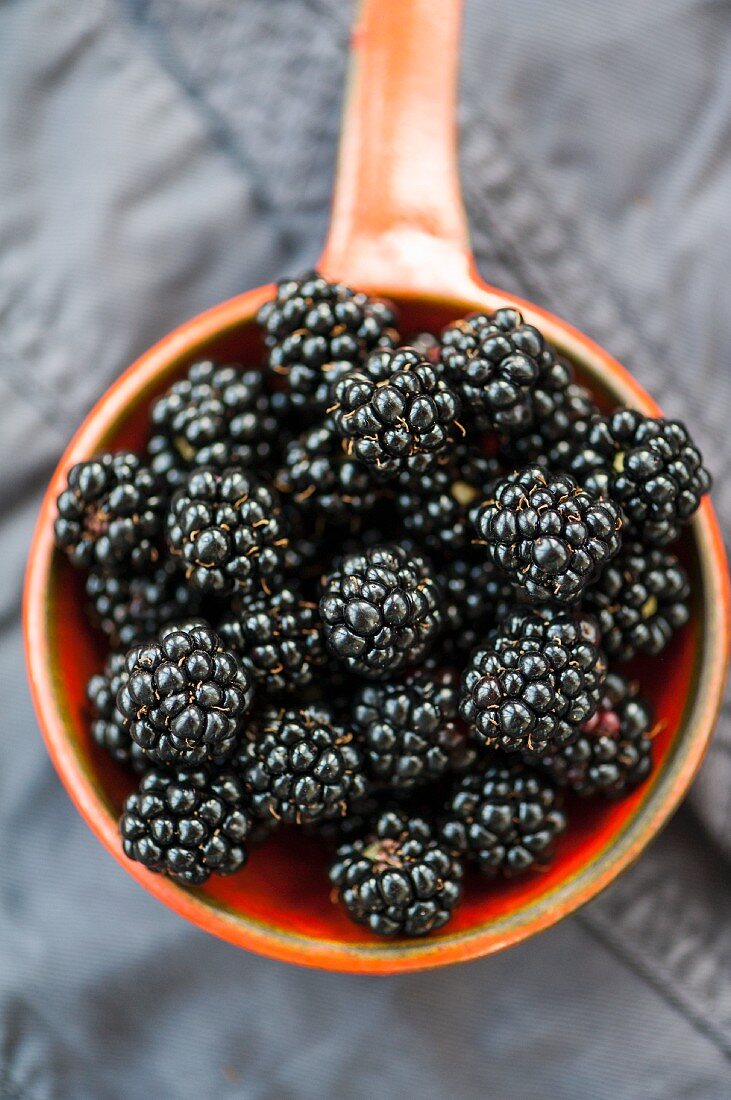 Blackberries in an orange saucepan
