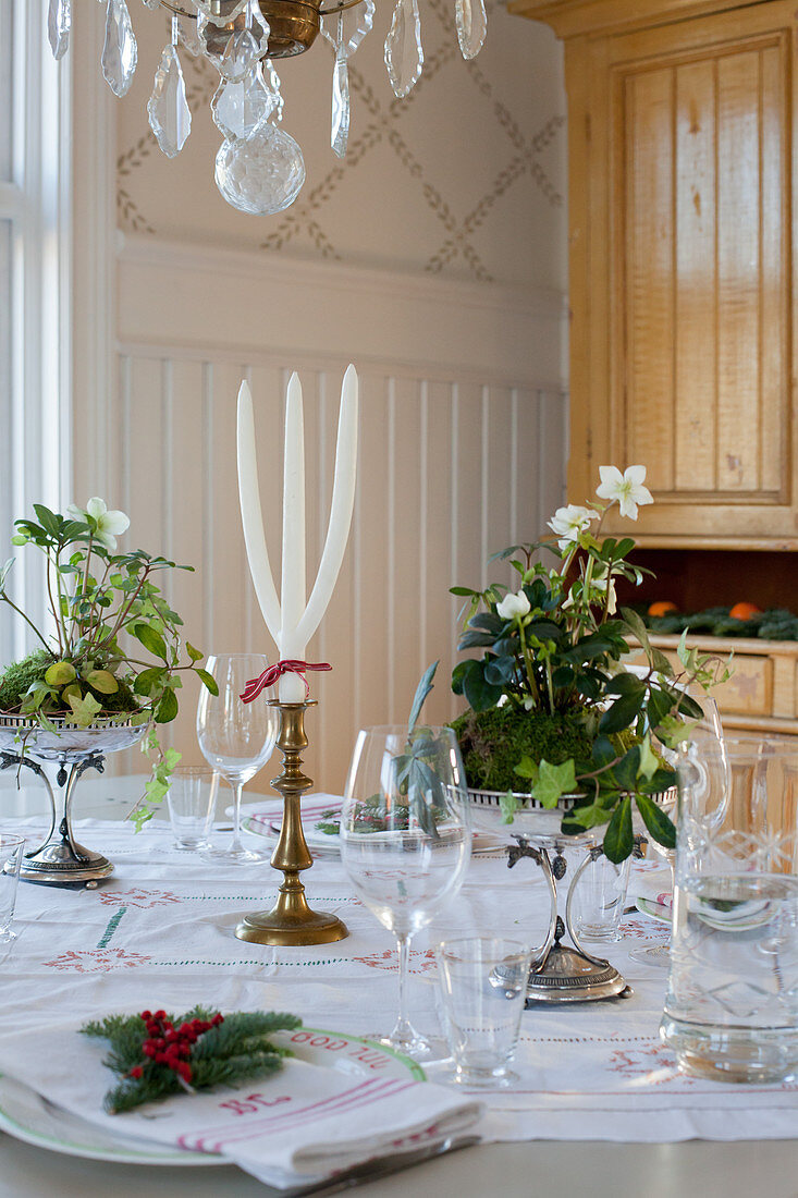 Table festively with fresh hellebores