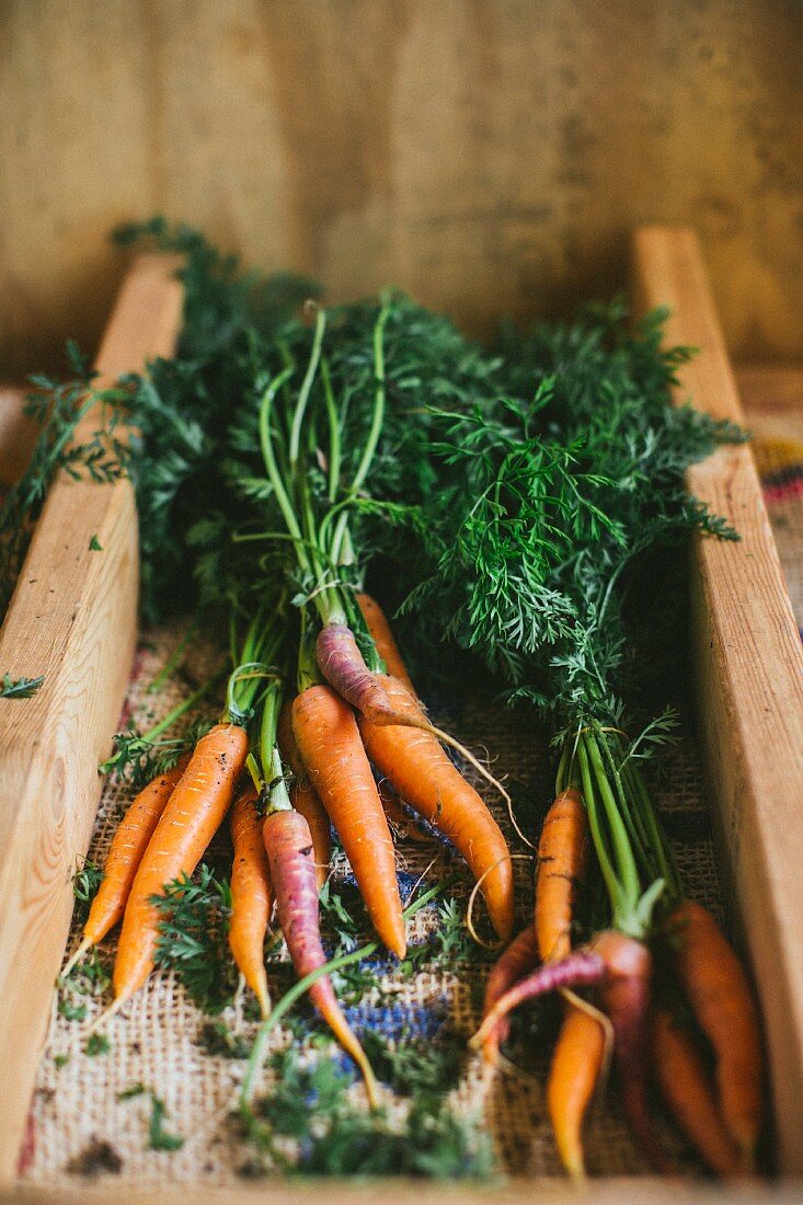 Fresh carrots in a wooden frame