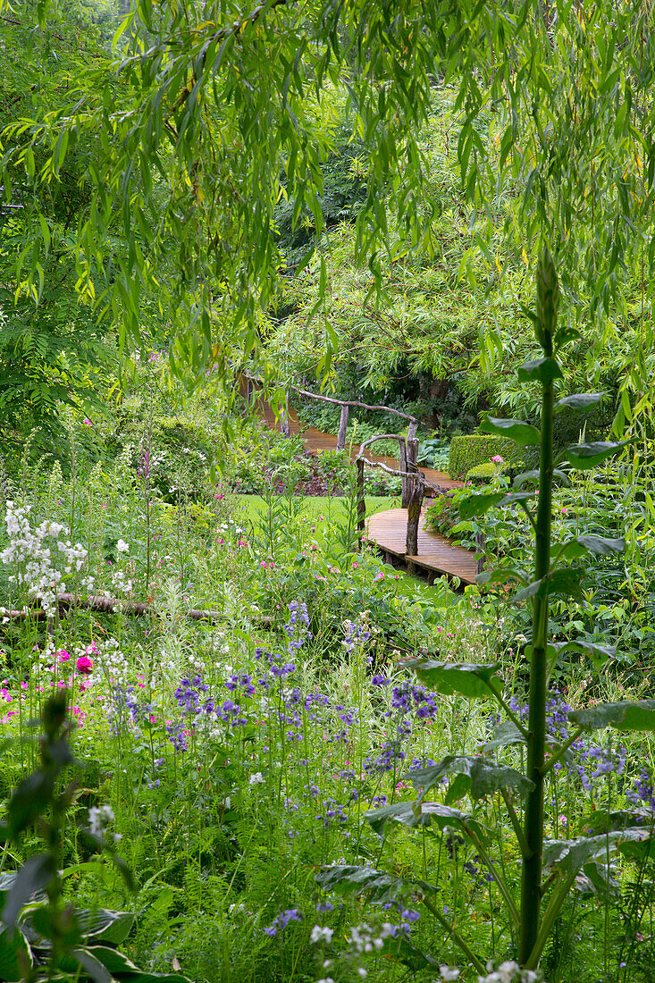 Natural garden with wooden bridge and wildflowers in summer