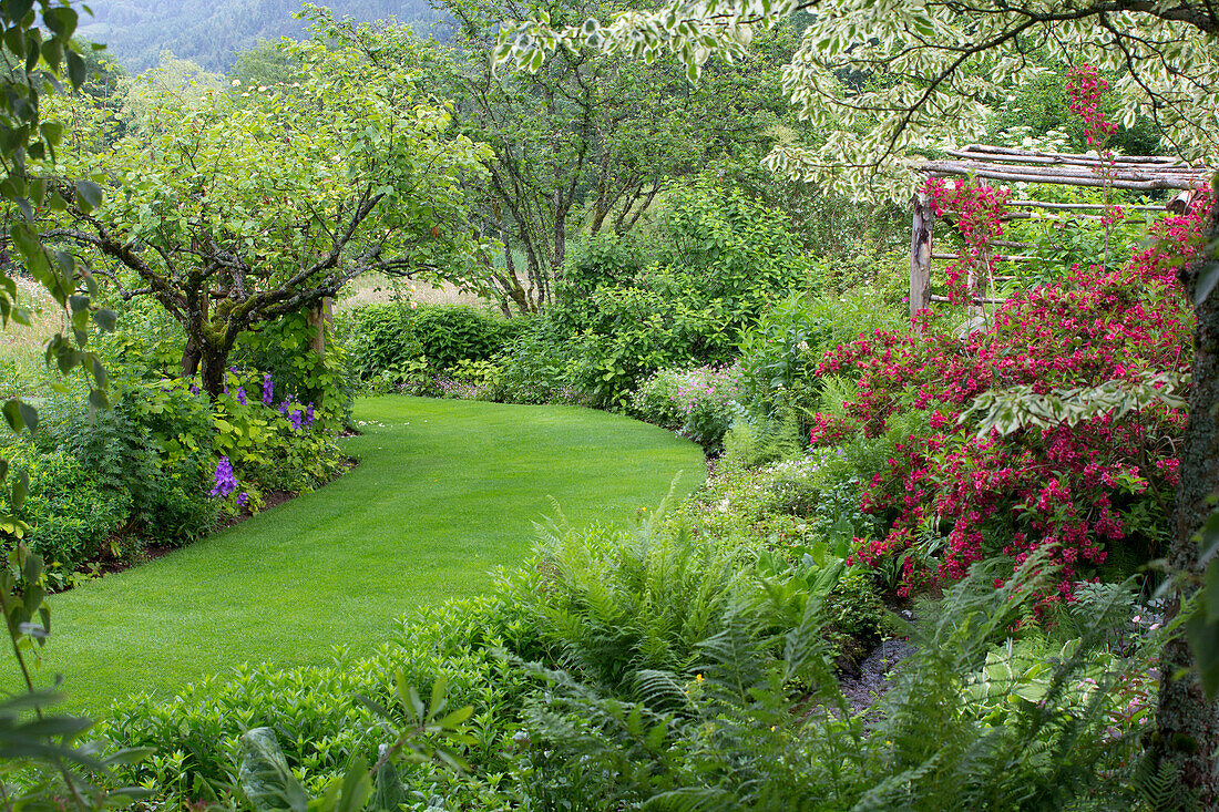 Idyllic garden with flowering shrubs and lawn path