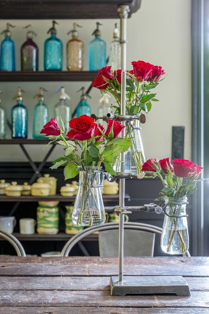 Red roses in laboratory flasks in metal lab stand on rustic table