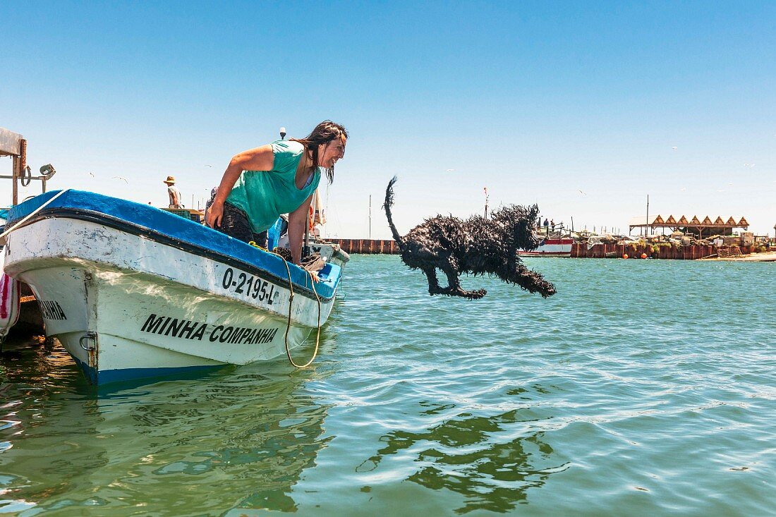 A Portugese water dog with his breeder in the Algarve region of Portugal