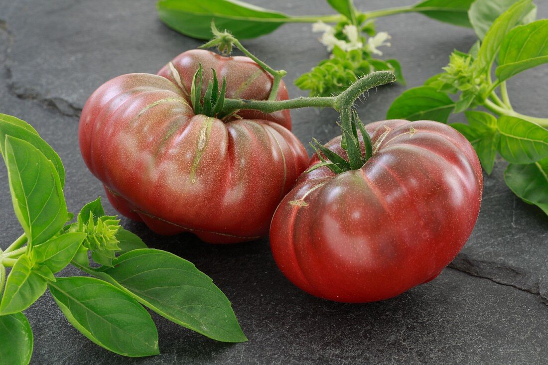 Black Russian tomatoes