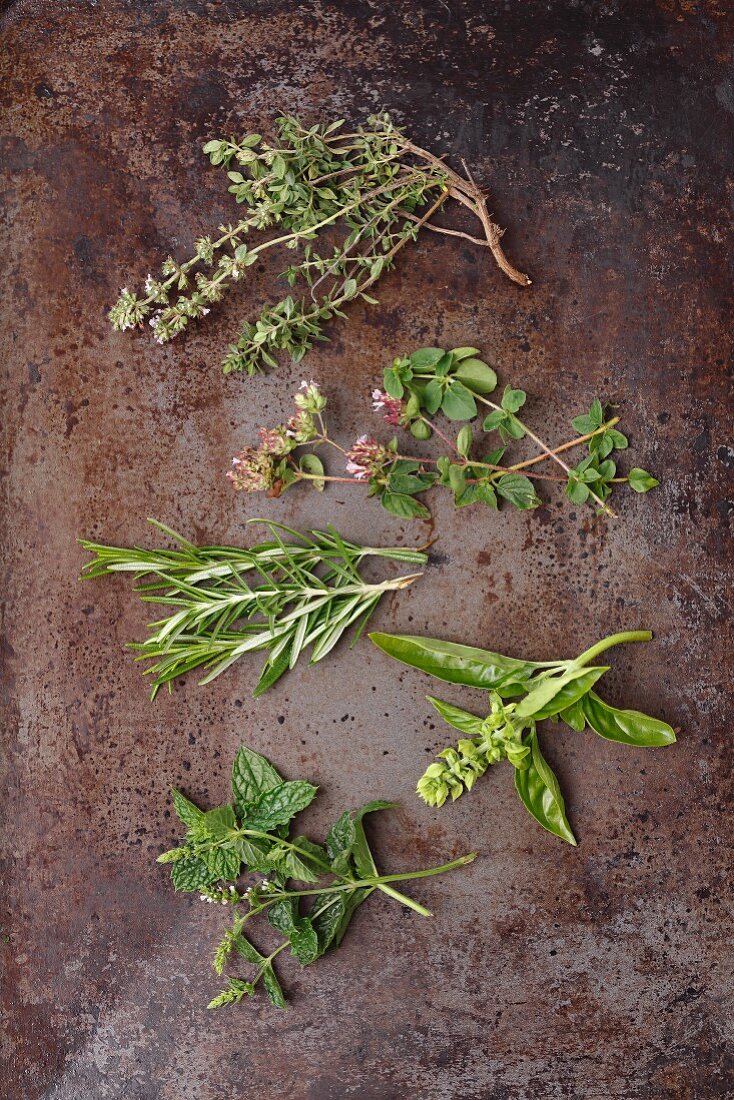 Fresh herb sprigs: thyme, oregano, rosemary, basil and mint