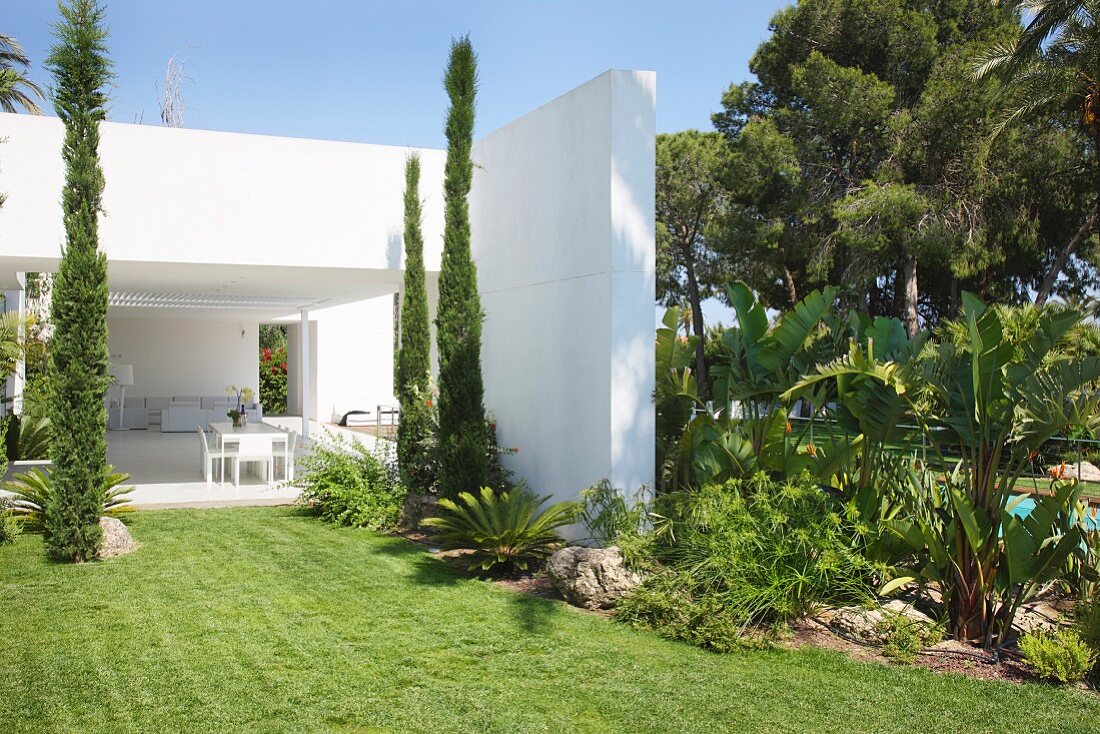 Modernes Architektenhaus mit exotischem Garten