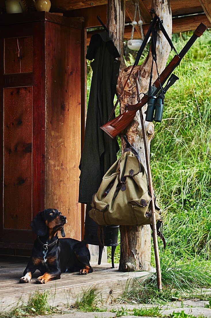 A hound, backpack, gun and pair of binoculars in front of a hunting lodge