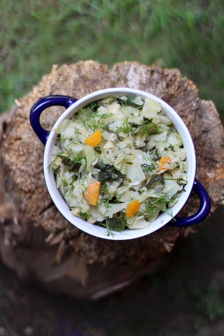 Young cabbage with carrots and dill