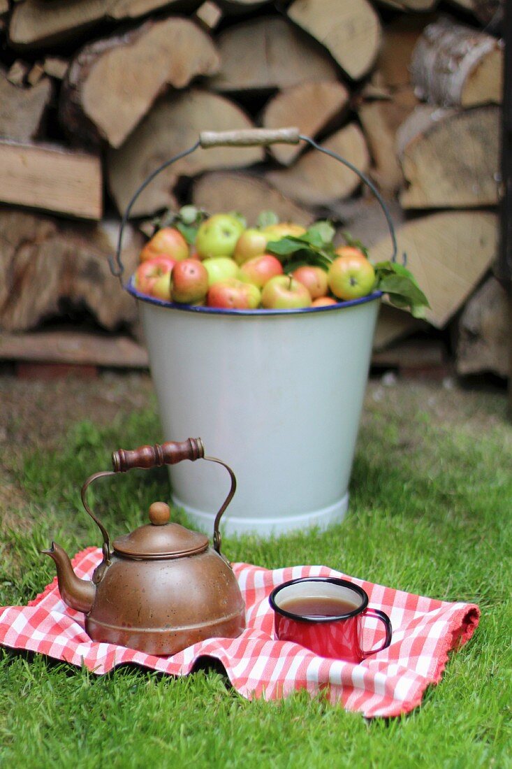 An old teapot and an enamel cup on a tea towel in front of a bucket full of wild apples