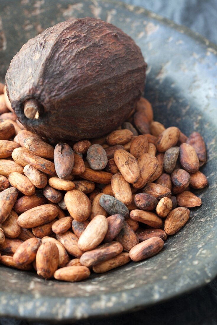 Kakaobohnen und Kakaofrucht