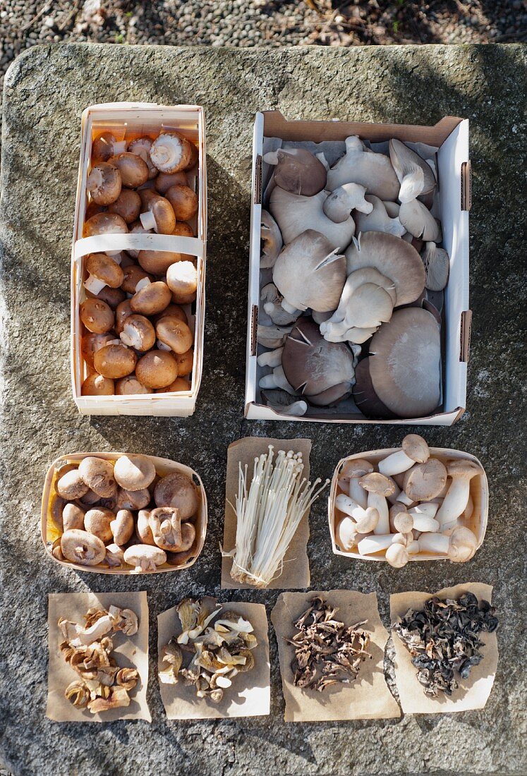 Assorted fresh and dried edible mushrooms