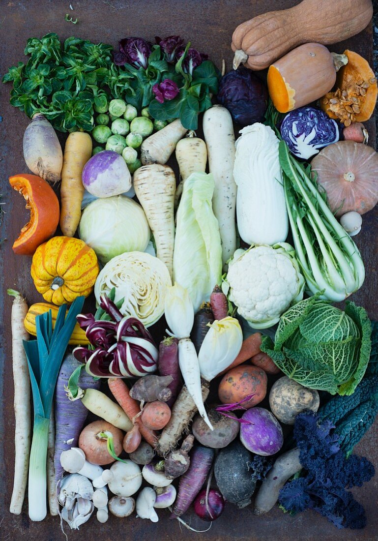 Assorted vegetables for the cold time of year (seen from above)