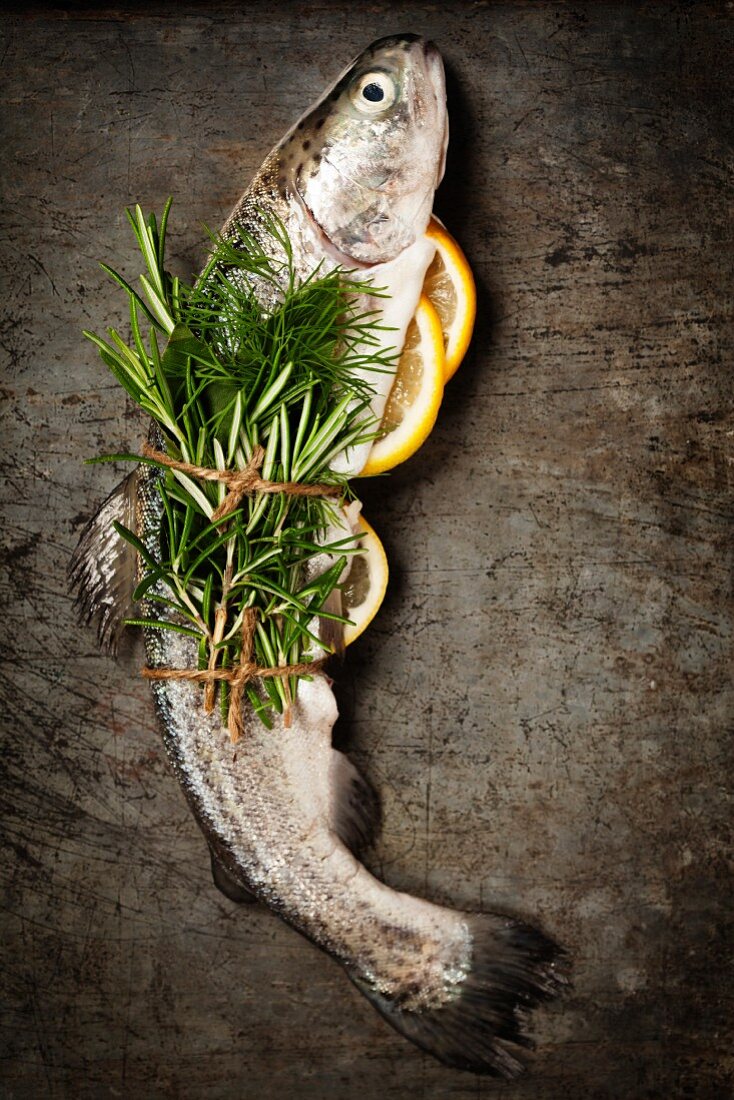 Raw rainbow trout with lemon, herbs and spice on rustic background