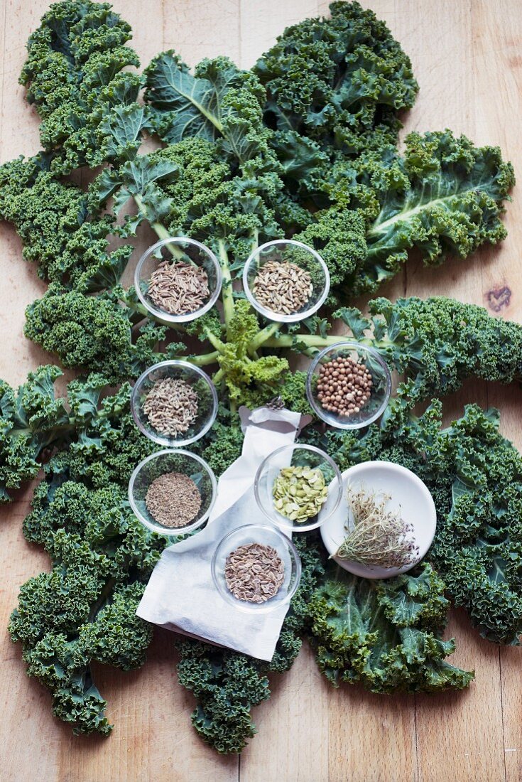 Kale (leaf cabbage) and suitable seeds for a stock (caraway, fennel, coriander, parsnip, carrot, dill, celery and aniseed)