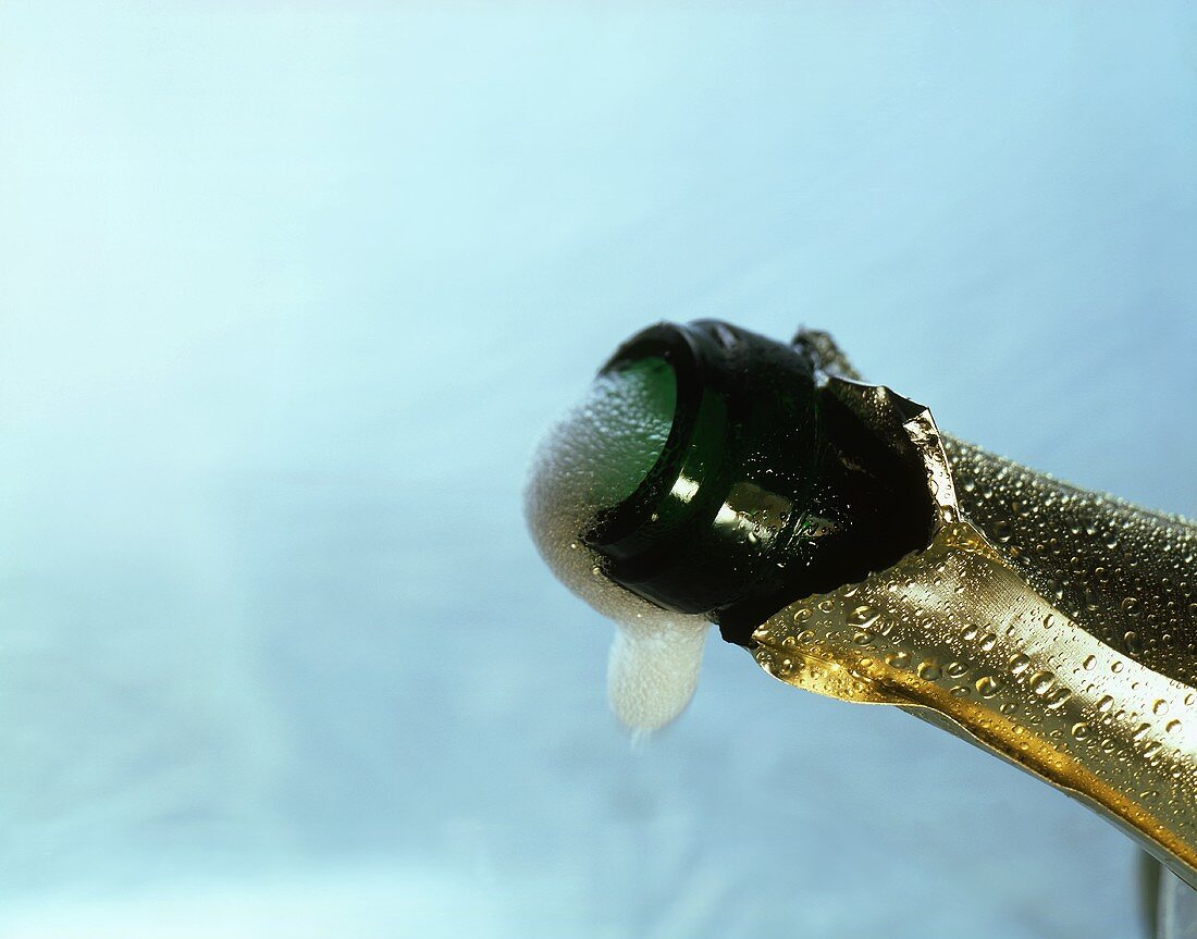 Froth shoots out of an opened sparkling wine bottle