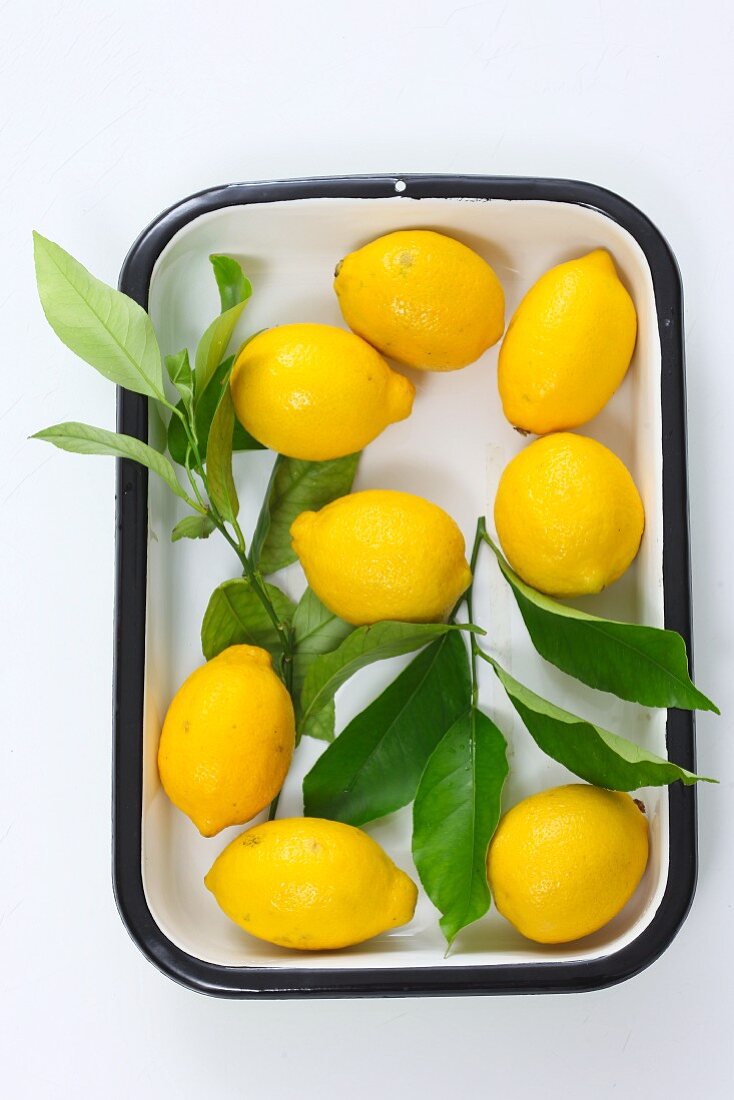 Lemons in an enamel dish (seen from above)