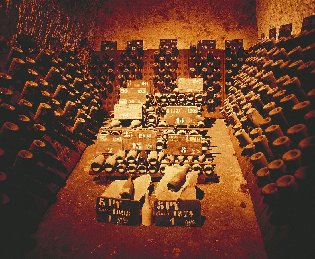 Champagner (1874 bis 1970) im Keller von Pommery, Reims