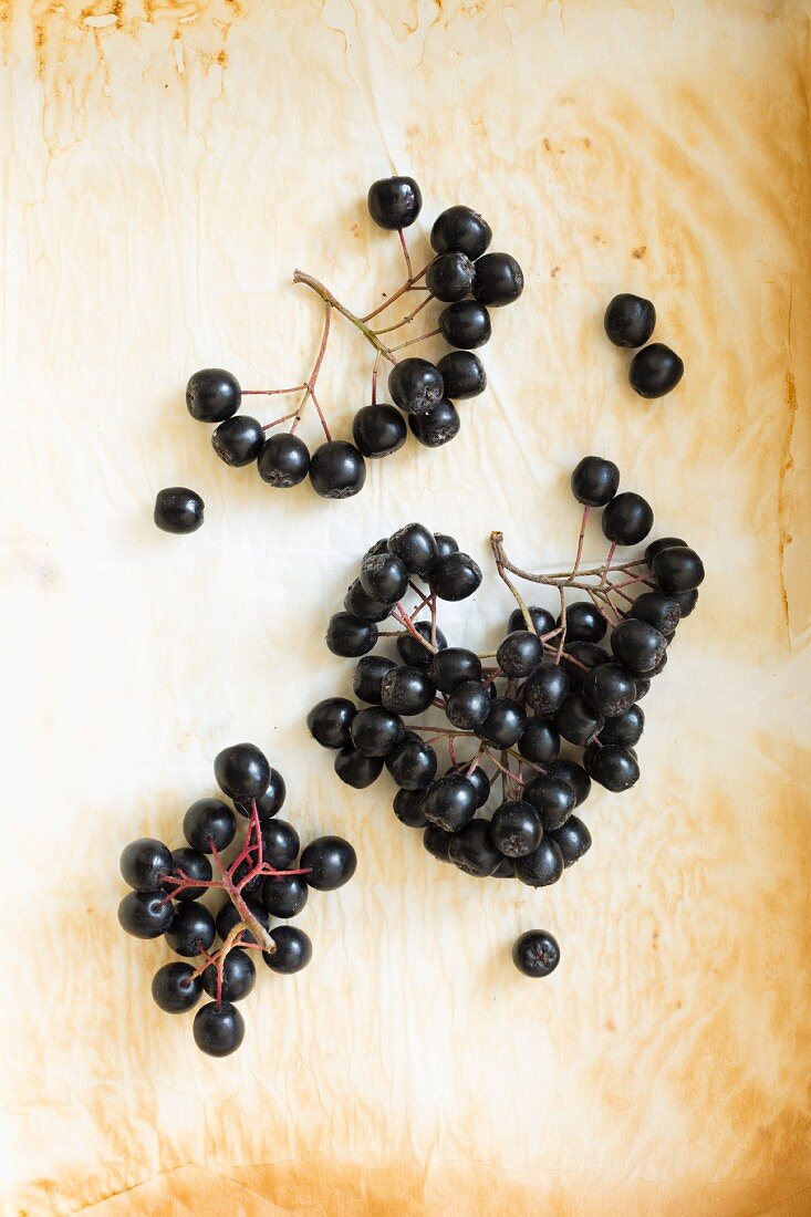 Lots of aronia berries on used baking paper