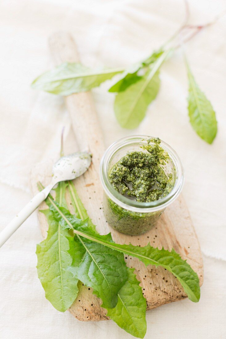 Selbstgemachtes Löwenzahn-Pesto im Glas mit frischen Löwenzahnblättern