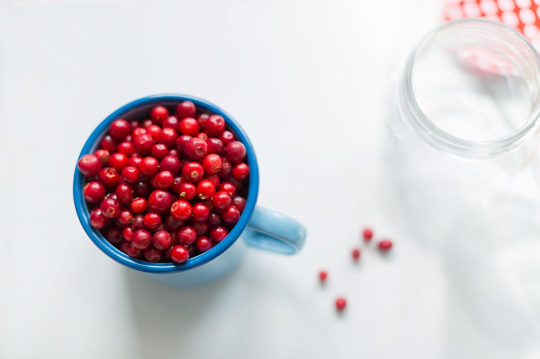 Fresh lingonberries in a blue enamel cup next to a preserving jar