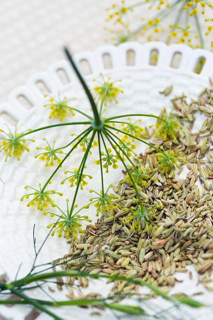 Fenchelsamen und Fenchelblüten auf Keramikteller