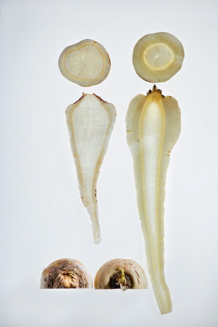 A comparison between parsnip and Hamburg parsley