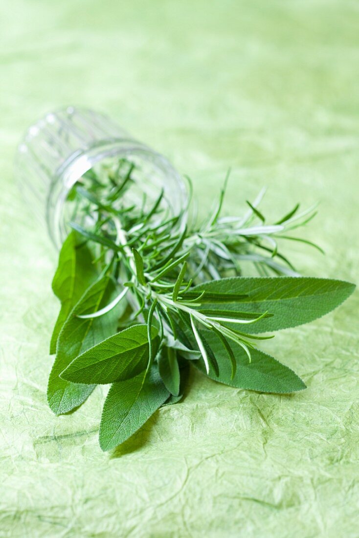 Fresh sage and rosemary in a glass on its side