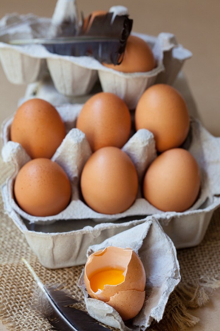 Fresh organic eggs in an egg box