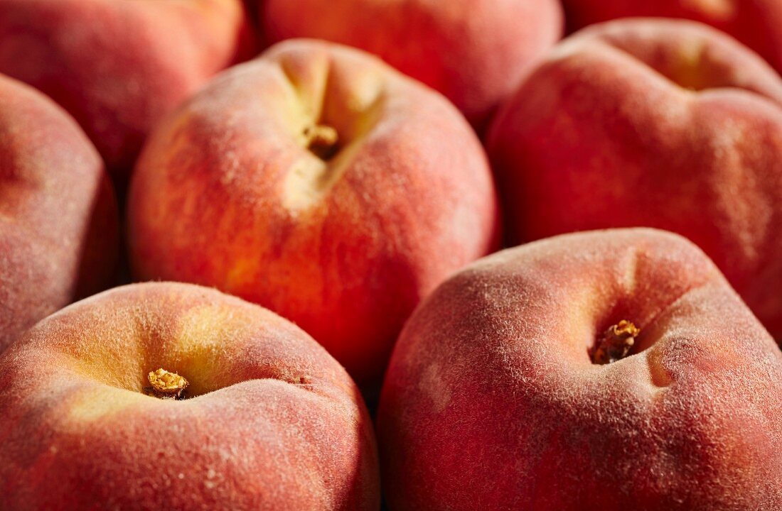 Fresh peaches from Lancaster, Pennsylvania, USA