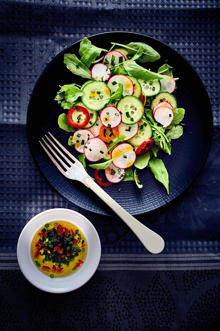 Gurkensalat mit Radieschen und Paprika