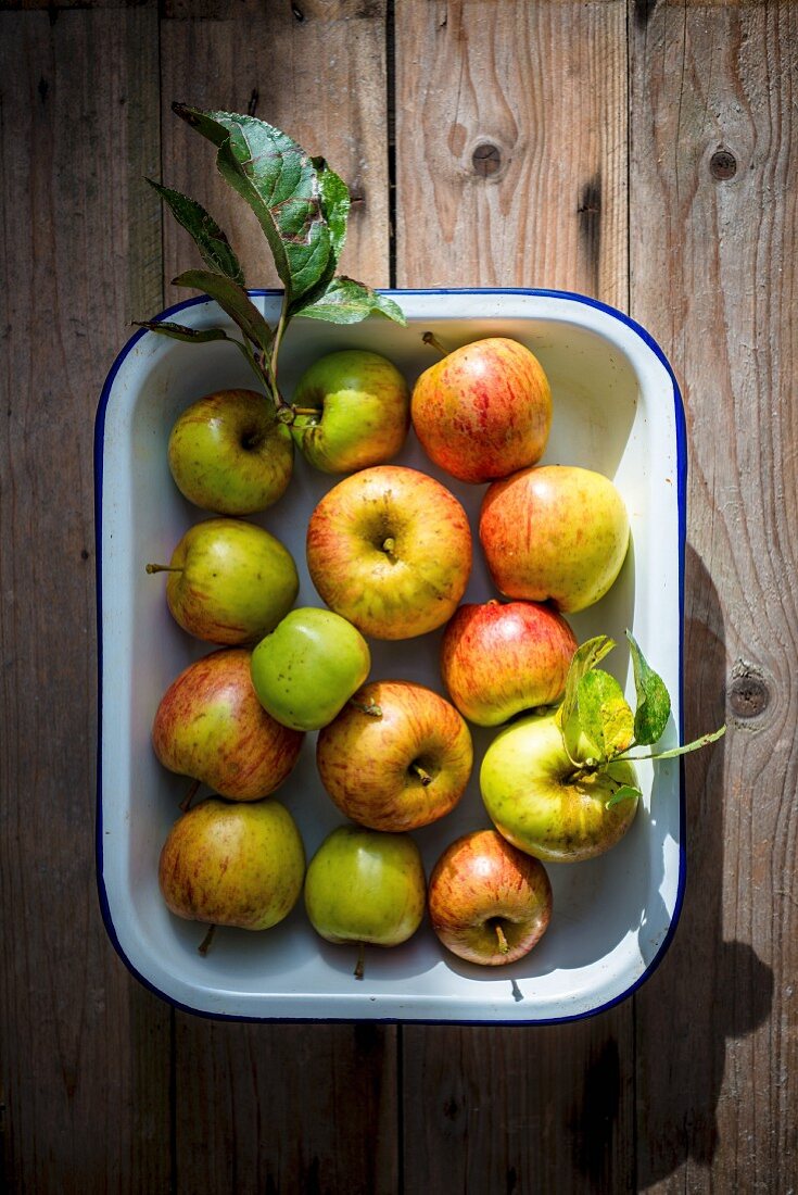 Frische Bio-Äpfel in Emailschale auf Holzuntergrund (Draufsicht)