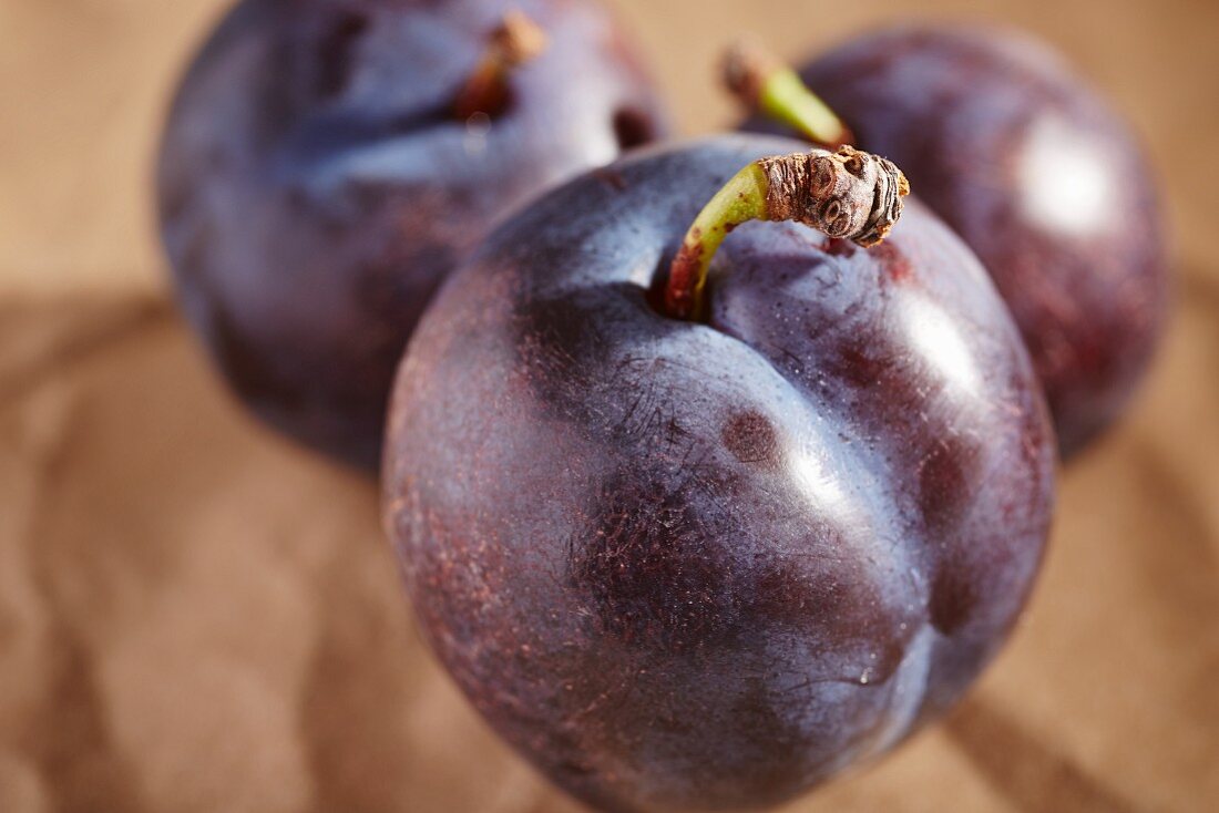 Frische schwarze Pflaumen (Close Up)