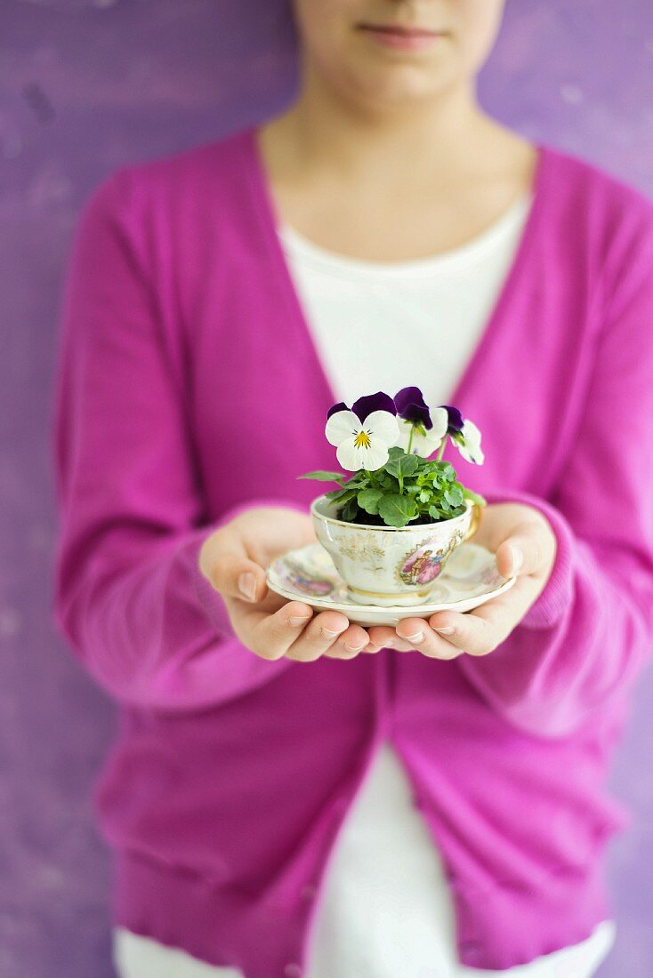 Viola planted in coffee cup held by child