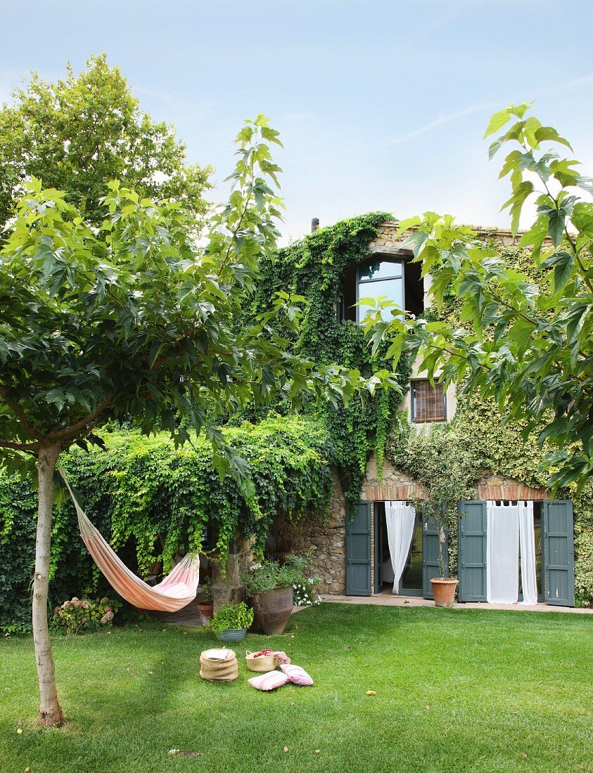 Hammock in sunny garden